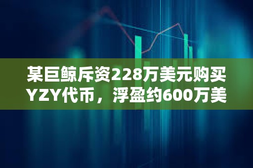 某巨鯨斥資228萬美元購買YZY代幣，浮盈約600萬美元