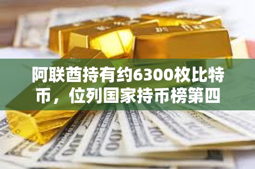 阿聯酋持有約6300枚比特幣，位列國家持幣榜第四
