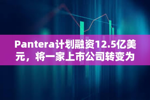 Pantera計(jì)劃融資12.5億美元，將一家上市公司轉(zhuǎn)變?yōu)橐患襍olana投資公司