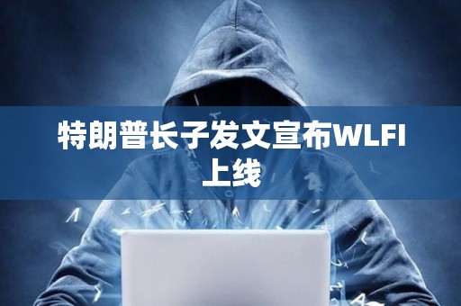特朗普長子發文宣布WLFI上線