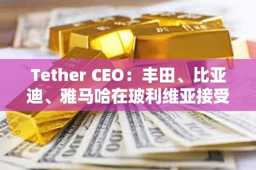 Tether CEO：豐田、比亞迪、雅馬哈在玻利維亞接受USDT支付