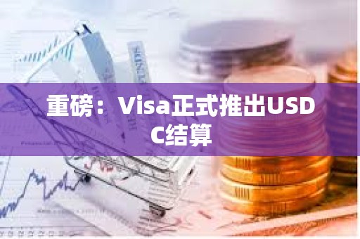 重磅：Visa正式推出USDC結算