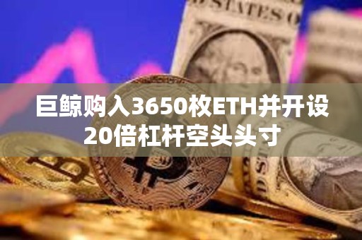 巨鯨購入3650枚ETH并開設20倍杠桿空頭頭寸