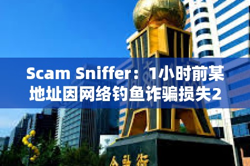 Scam Sniffer：1小時前某地址因網絡釣魚詐騙損失25萬美元資產