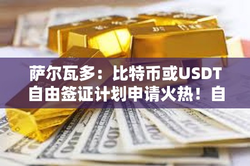 薩爾瓦多：比特幣或USDT自由簽證計劃申請火熱！自認價格公道