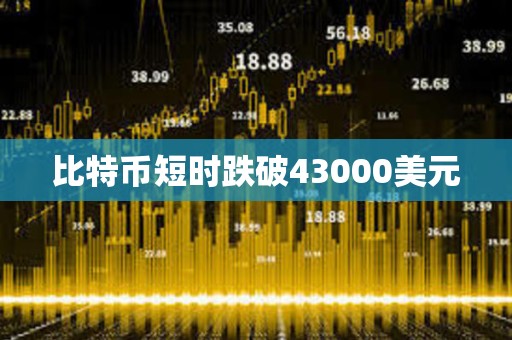 比特幣短時跌破43000美元