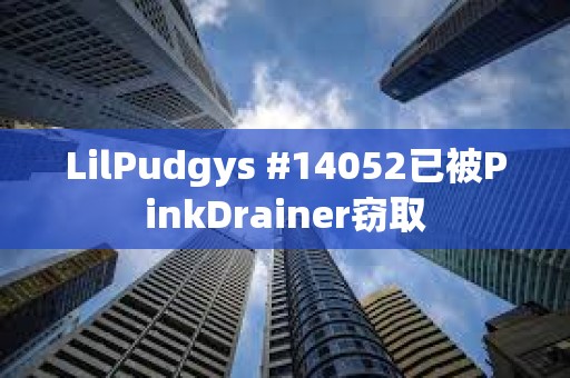 LilPudgys #14052已被PinkDrainer竊取