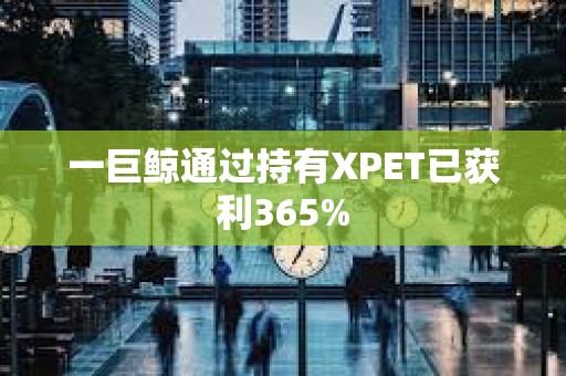 一巨鯨通過持有XPET已獲利365%