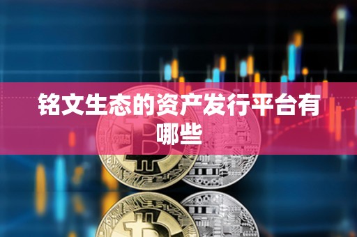 銘文生態(tài)的資產(chǎn)發(fā)行平臺(tái)有哪些