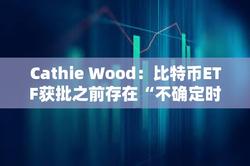 Cathie Wood：比特幣ETF獲批之前存在“不確定時刻”