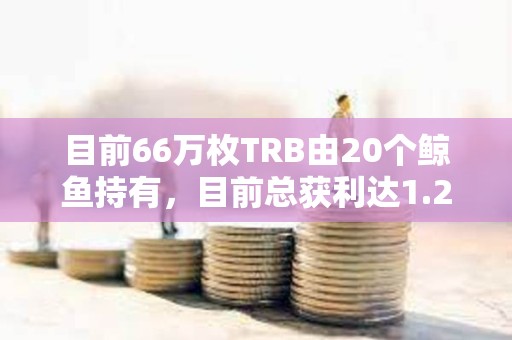 目前66萬枚TRB由20個鯨魚持有，目前總獲利達1.2億美元
