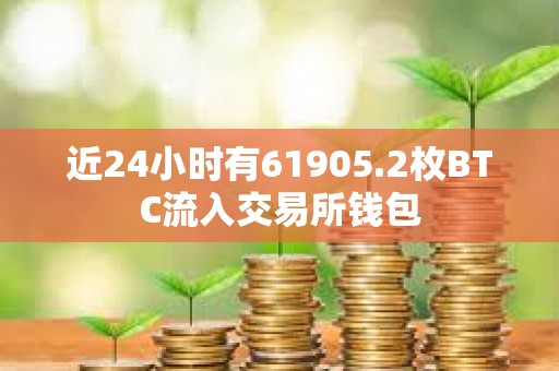 近24小時有61905.2枚BTC流入交易所錢包