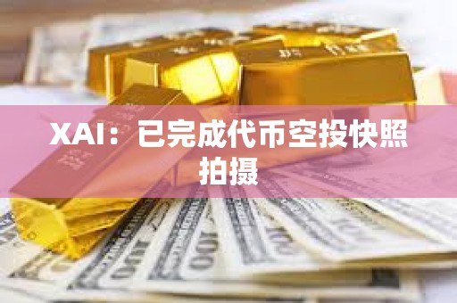 XAI：已完成代幣空投快照拍攝