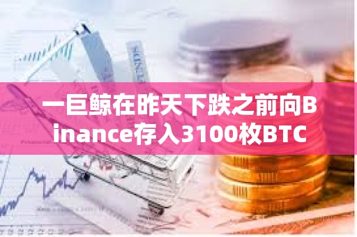 一巨鯨在昨天下跌之前向Binance存入3100枚BTC