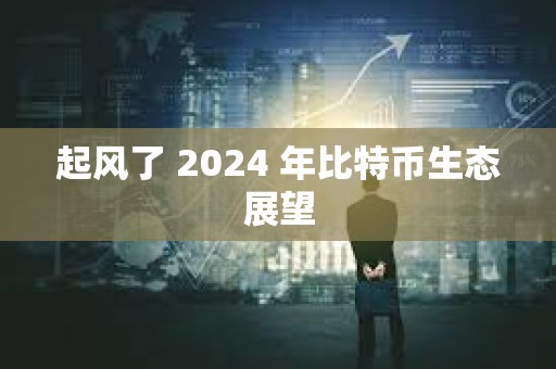 起風了 2024 年比特幣生態展望