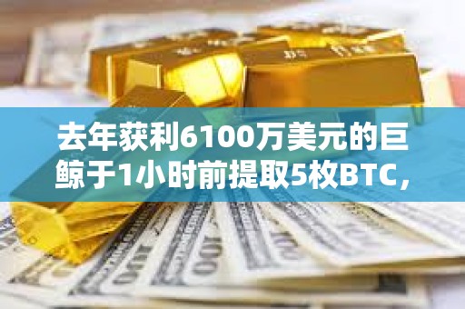 去年獲利6100萬(wàn)美元的巨鯨于1小時(shí)前提取5枚BTC，或作為測(cè)試交易
