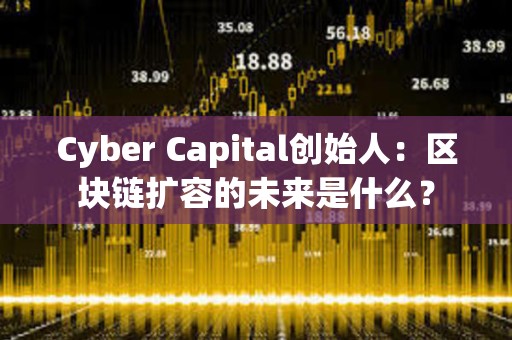 Cyber Capital創始人：區塊鏈擴容的未來是什么？
