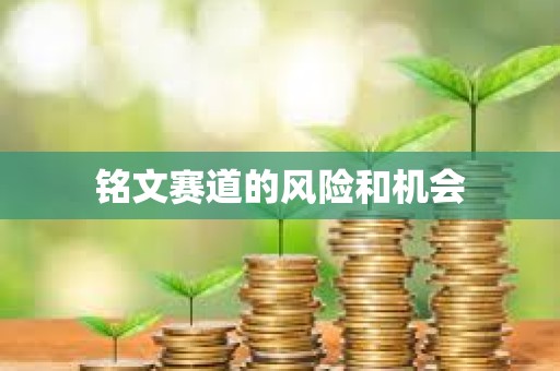 銘文賽道的風(fēng)險(xiǎn)和機(jī)會