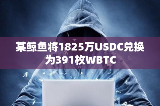 某鯨魚將1825萬USDC兌換為391枚WBTC