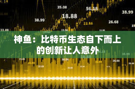 神魚：比特幣生態自下而上的創新讓人意外