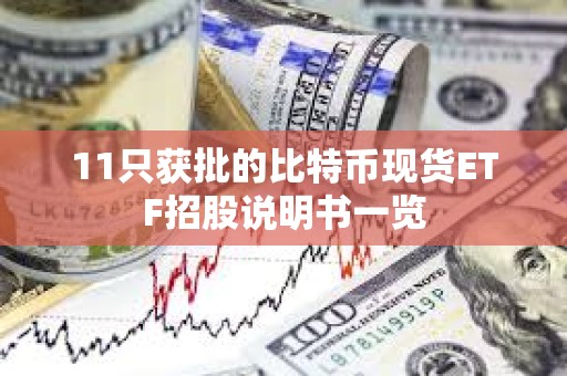 11只獲批的比特幣現貨ETF招股說明書一覽