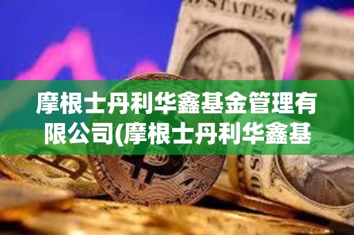 摩根士丹利華鑫基金管理有限公司(摩根士丹利華鑫基金管理有限公司洪天陽)