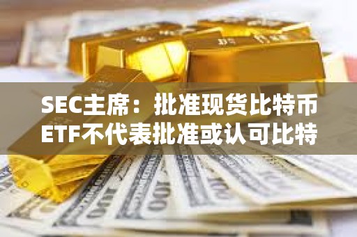 SEC主席：批準現貨比特幣ETF不代表批準或認可比特幣