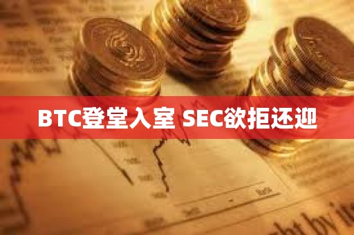 BTC登堂入室 SEC欲拒還迎