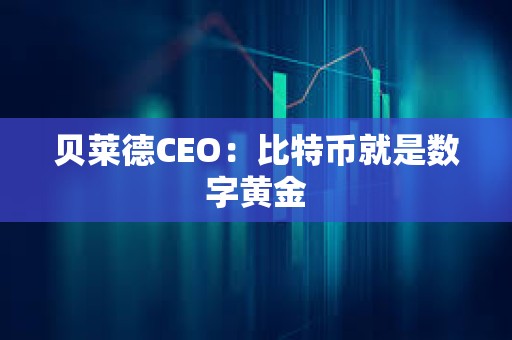 貝萊德CEO：比特幣就是數字黃金