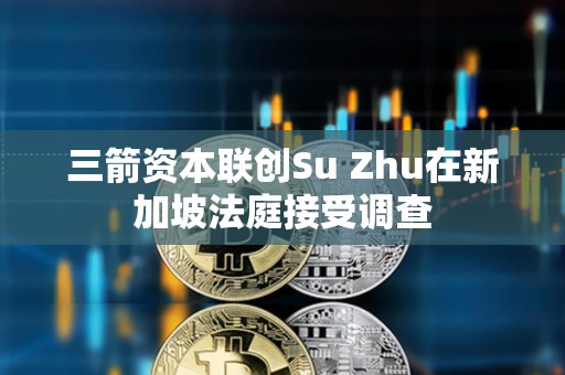 三箭資本聯創Su Zhu在新加坡法庭接受調查