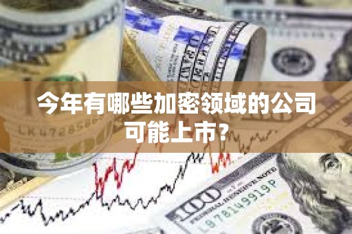 今年有哪些加密領(lǐng)域的公司可能上市？