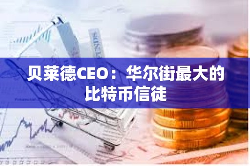 貝萊德CEO：華爾街最大的比特幣信徒