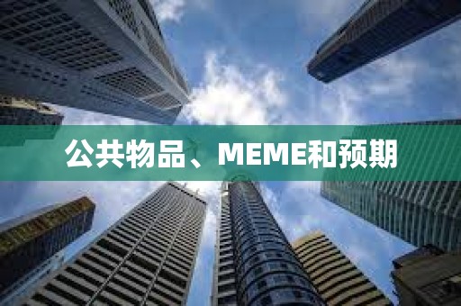 公共物品、MEME和預期