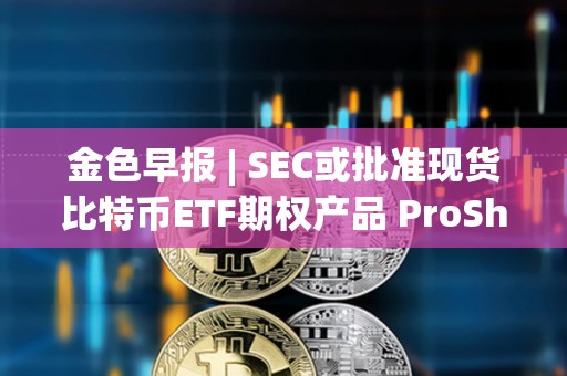 金色早報(bào) | SEC或批準(zhǔn)現(xiàn)貨比特幣ETF期權(quán)產(chǎn)品 ProShares遞交杠桿類現(xiàn)貨比特幣ETF申請