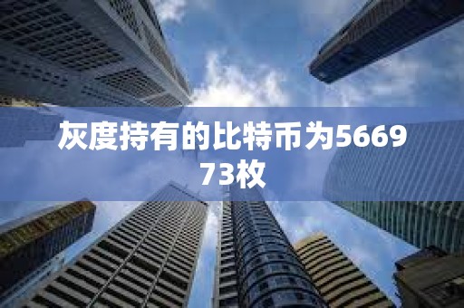 灰度持有的比特幣為566973枚