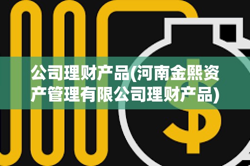公司理財產(chǎn)品(河南金熙資產(chǎn)管理有限公司理財產(chǎn)品)