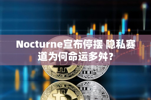 Nocturne宣布停擺 隱私賽道為何命運多舛？