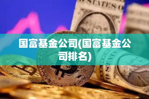 國富基金公司(國富基金公司排名)