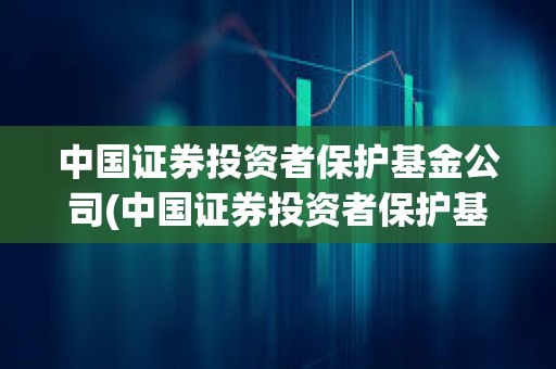 中國證券投資者保護基金公司(中國證券投資者保護基金公司董事長)