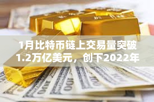 1月比特幣鏈上交易量突破1.2萬(wàn)億美元，創(chuàng)下2022年9月以來(lái)最高