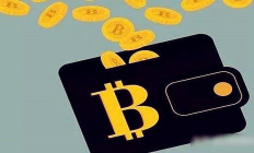 通用的數(shù)字貨幣錢包,怎么注冊數(shù)字貨幣錢包