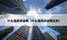 什么是網貸逾期（什么是網貸逾期還款）