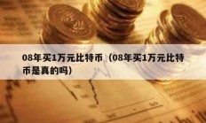 08年買1萬元比特幣（08年買1萬元比特幣是真的嗎）