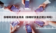 投哪網(wǎng)貸款業(yè)務(wù)員（投哪好貸是正規(guī)公司嗎）