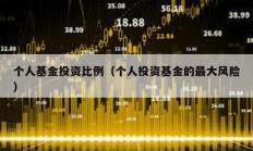 個人基金投資比例（個人投資基金的最大風險）
