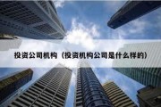 投資公司機構(gòu)（投資機構(gòu)公司是什么樣的）