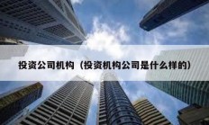 投資公司機構（投資機構公司是什么樣的）