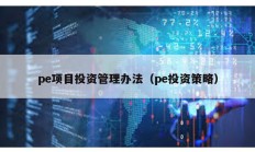 pe項目投資管理辦法（pe投資策略）