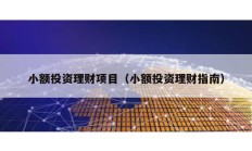 小額投資理財(cái)項(xiàng)目（小額投資理財(cái)指南）