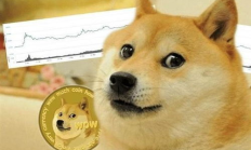 狗狗幣 交易時間,狗狗幣交易時間段